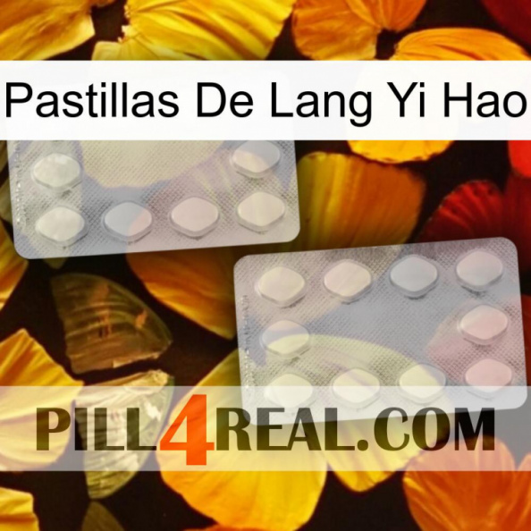 Lang Yi Hao Pills 17.jpg